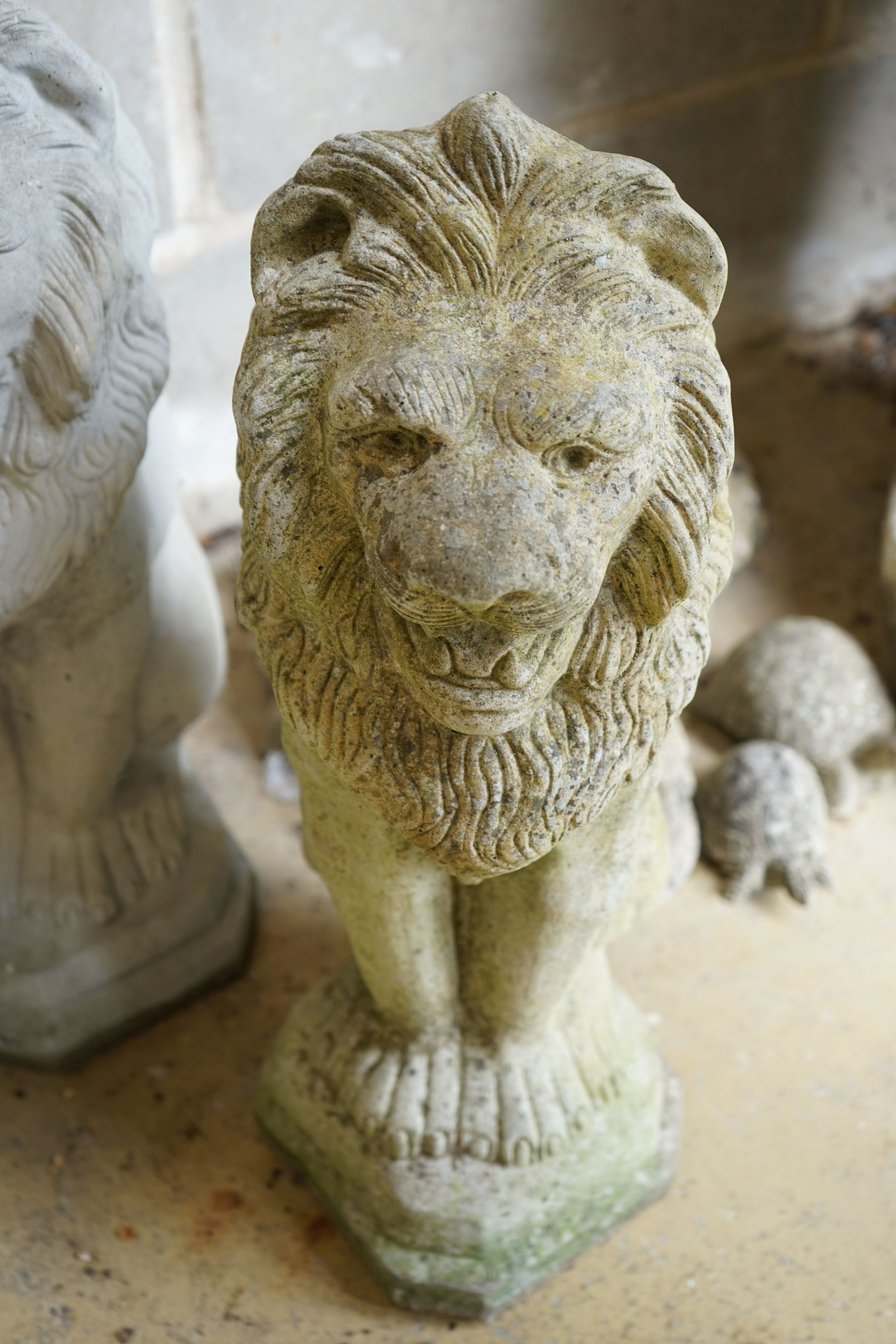 A pair of reconstituted stone seated lion garden ornaments, height 56cm